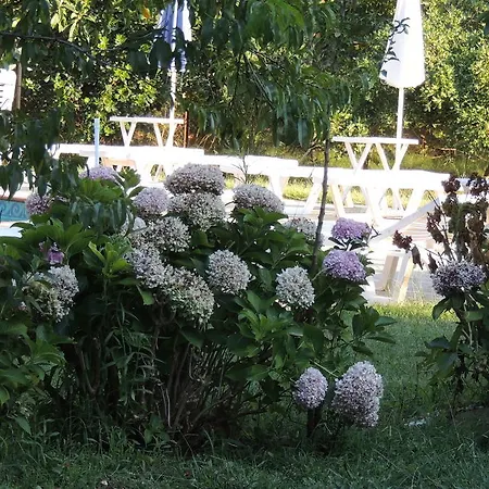 Aparthotel Vasso ηome *